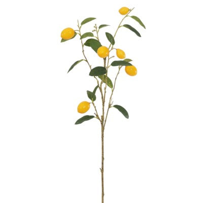 Lemon Branch with Fruit #10612800 Minimum order of 6