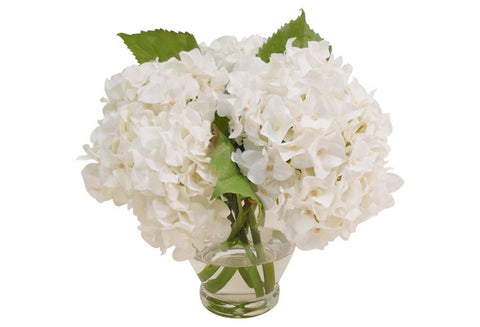 White Hydrangeas in Vase #1207