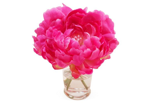 Fuchsia Pink Peonies in Vase #4058
