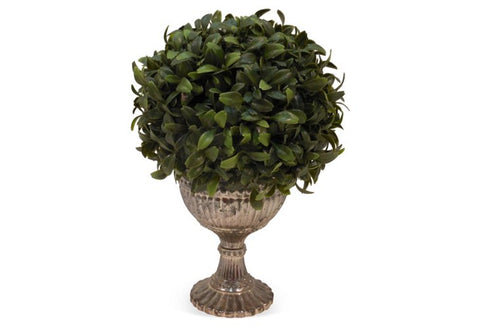Boxwood Ball in Goblet #5018