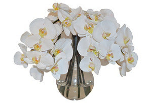 Phalaenopsis in Glass Vase #51027