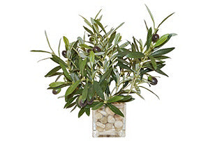 Olive Branches in Cube Vase #51068