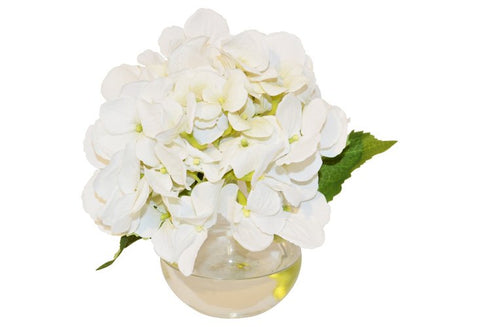 White Hydrangea in Bubble Vase #51168