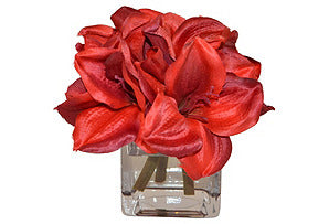 Red Amaryllis in Cube Vase #51351