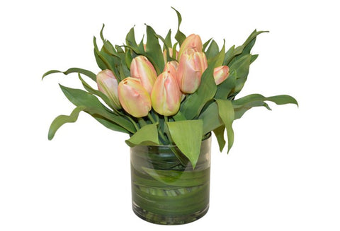 Peach Tulips in a Cylinder w/ Orchid Foliage #52033