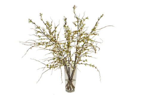 White Cherry Blossoms in a Cylinder Vase #52061