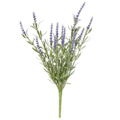 Lavender Bush #15315300 Minimum order of 6