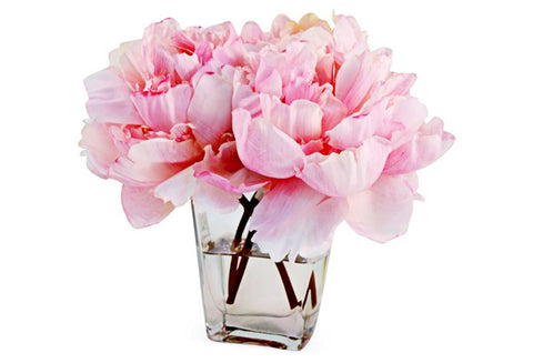Pink Peonies in Tapered Vase #8037