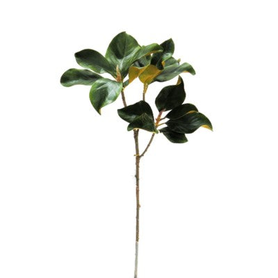 Large Magnolia Leaf Branch #19507800 Minimum order of 6