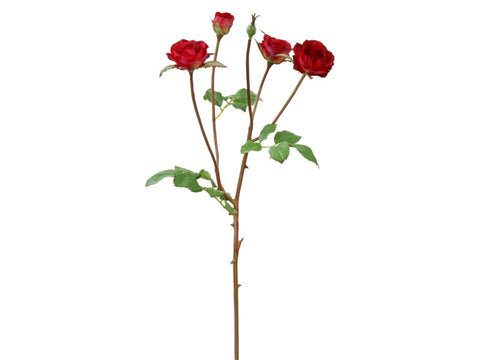Deep Red Floribunda Rose Stem #195118CAB00 Minimum order of 6