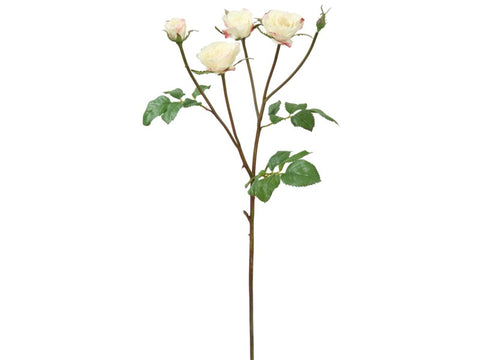 Cream Floribunda Rose Stem #195118CCH00 Minimum order of 6