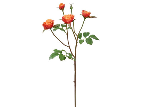 Peach Floribunda Rose Stem #195118CPCRD00 Minimum order of 6