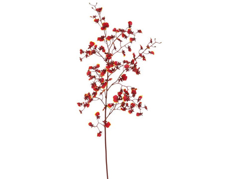 Red Dancing Oncidium Orchid Stem #195315BU00