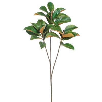 Magnolia Leaf Branch #19593400 Minimum order of 2