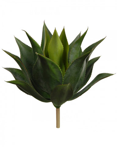 Agave Plant #1G2209LGN00