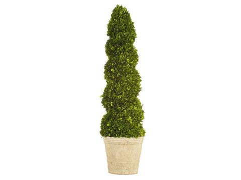 Spiral Boxwood Topiary #1PG3144GR00