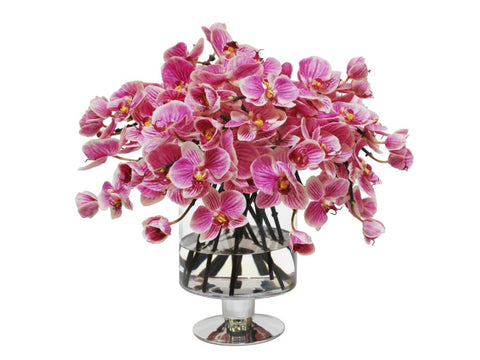 Pink Orchids in Compote Vase #1SDP347PUWH00
