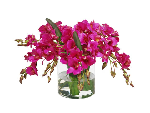 Dendrobium Orchids in Cylinder Vase #1SDP352OH00