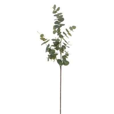 Eucalyptus Branch #10707700 Minimum order of 6