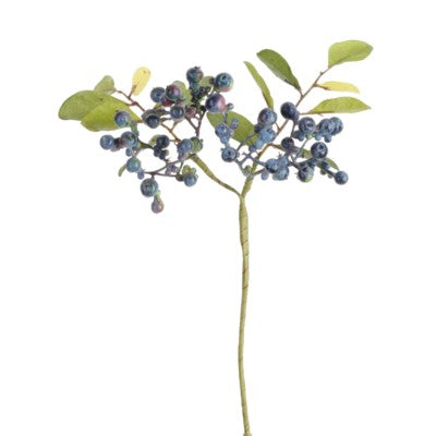 Blueberry Branch #10791800 Minimum order of 6
