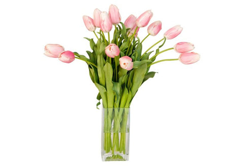 Pink Tulips in Glass Vase #10015