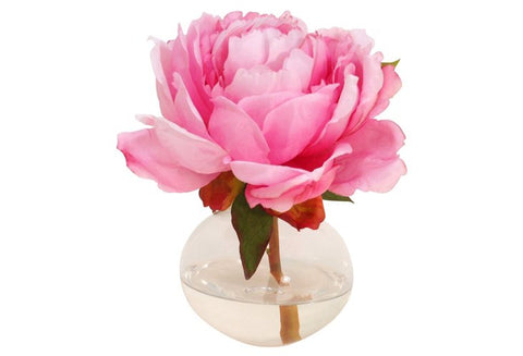 Pink Peony in Bubble Vase #1085