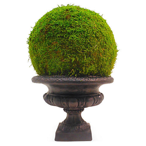 18" Moss Ball in Urn, Preserved #FBC1801.GR