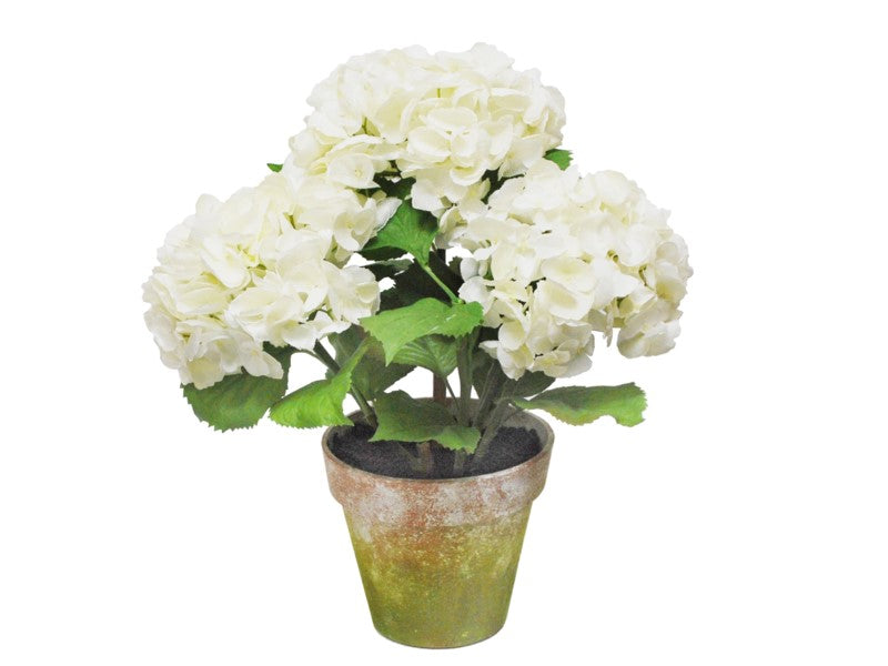 THREE WHITE HYDRANGEA POTTED 1P4064.WH00 – EBW LLC
