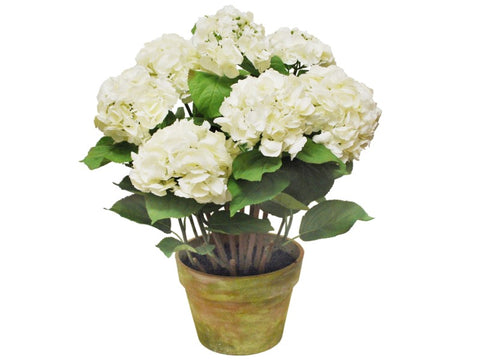 LARGE POTTED HYDRANGEA WHITE 1P4205.WH00