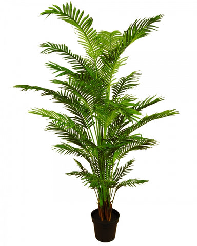 Real Touch Areca Palm #120597P00