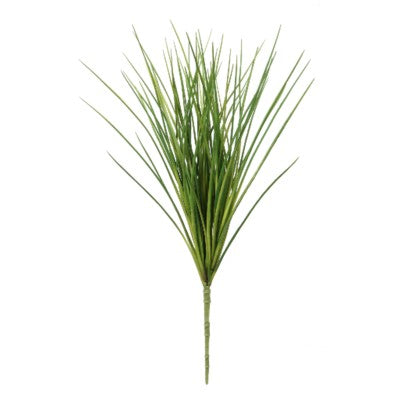 Onion Grass Bush #13038800 Minimum order of 6