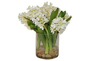 White Hyacinth w/rocks in cylinder #51023