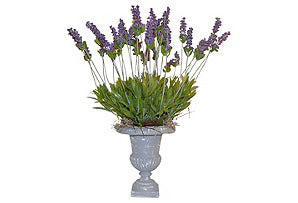 Lavender in Grey Urn #51105