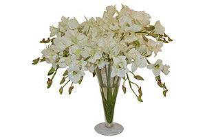 Dendrobiums in Tall Vase #51109