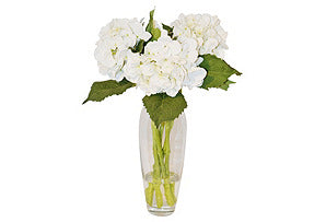 Hydrangeas in Vase #51166