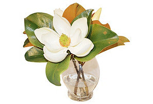 Magnolia in Glass Vase #51183
