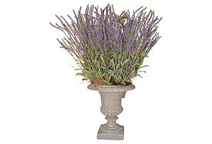 Lavender in Grey Washed Urn #51238