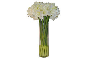 Tall White Amaryllis in Tall Cylinder Vase #51379