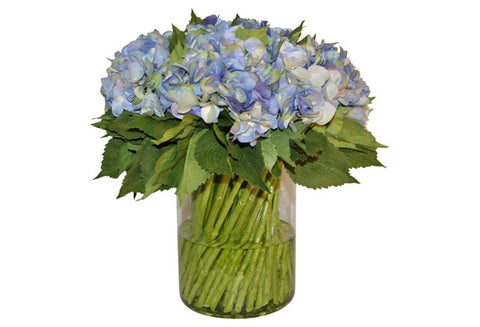 Blue Hydrangeas with Stems in Cylinder Vase #51473