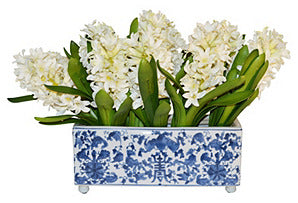 Hyacinth in Blue and White Rectangle Container #51640
