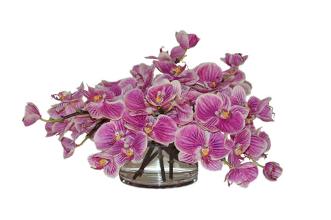 Pink Orchids in Short Cylinder Vase #51828