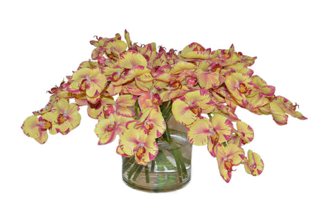 Yellow Magenta Orchids in a Cylinder Vase #51840
