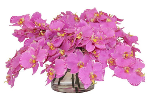Pink Orchids in a Short Cylinder Vase #52180
