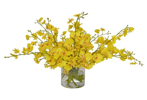 Yellow Orchids in a Small Cylinder Vase #52191