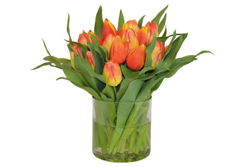 Yellow and Red Tulips in a Cylinder Vase #52192