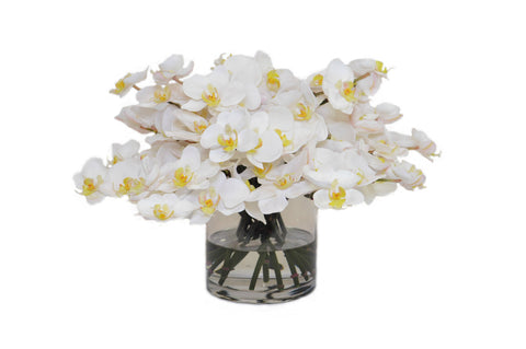 White Orchids in a Cylinder Vase #52229