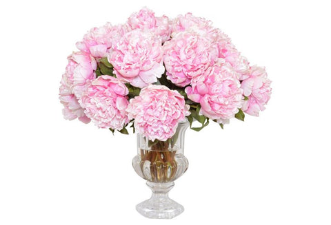 Pink Peonies in a Footed Glass Urn #52244