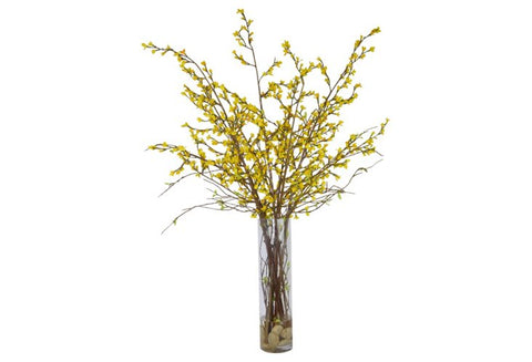 Yellow Forsythia in a Tall Cylinder Glass Vase #52439