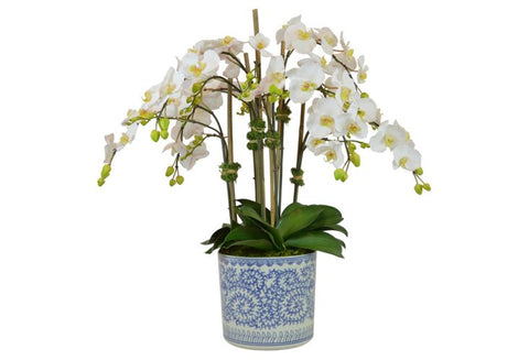 White Orchids in a Blue and White Vase #52471