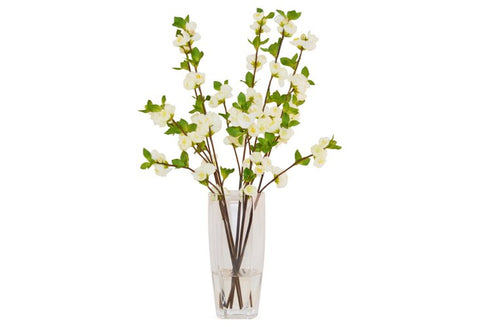 White Quince in Glass Vase #8070